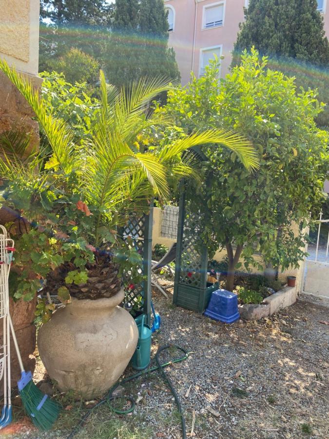 Jardin D'Eden Appartement Saint-Raphaël Buitenkant foto